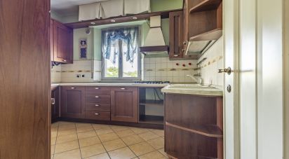 Appartamento 6 locali di 139 m² a Falconara Marittima (60015)