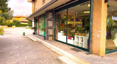 Retail property of 92 m² in Assisi (06081)