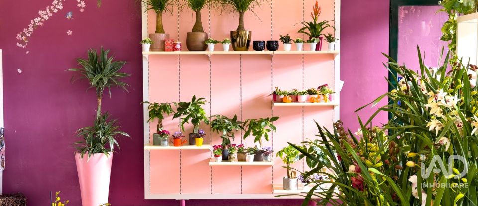 Attività locali di 92 m² in Assisi (06081)