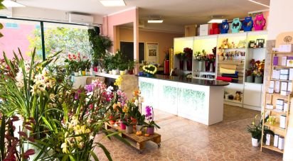 Attività locali di 92 m² in Assisi (06081)