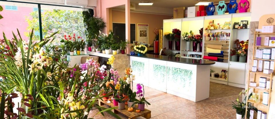 Attività locali di 92 m² in Assisi (06081)