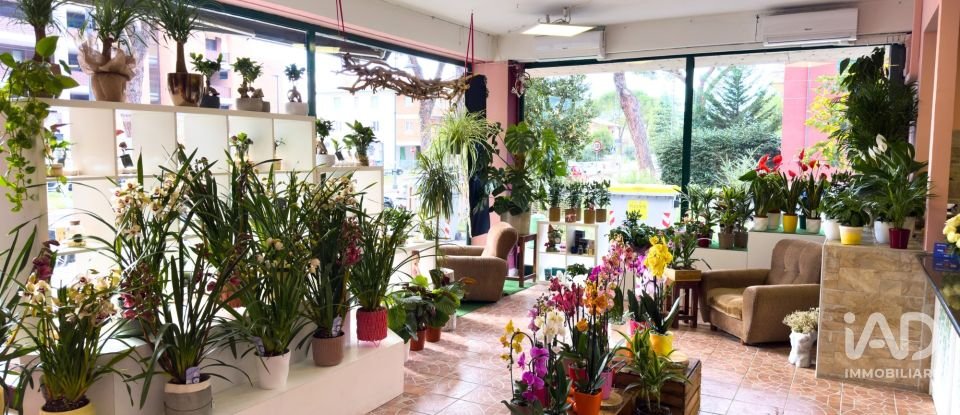 Attività locali di 92 m² in Assisi (06081)