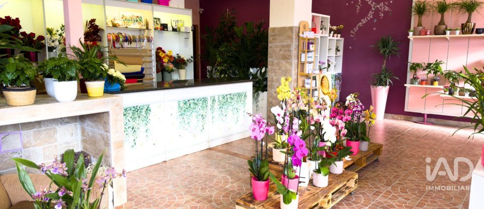 Attività locali di 92 m² in Assisi (06081)