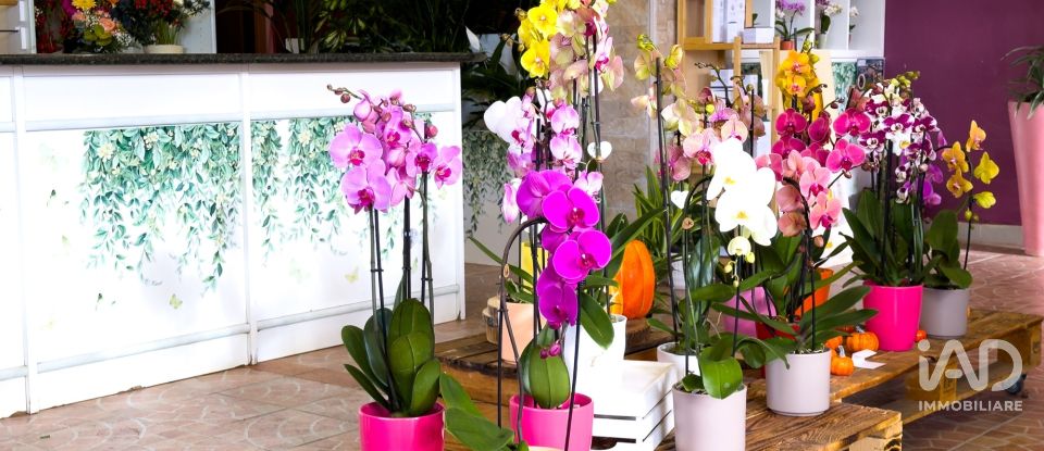 Attività locali di 92 m² in Assisi (06081)