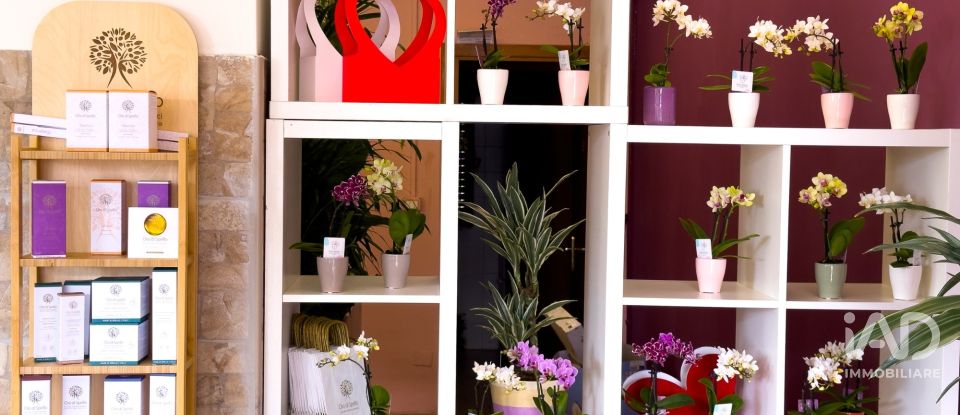 Attività locali di 92 m² in Assisi (06081)