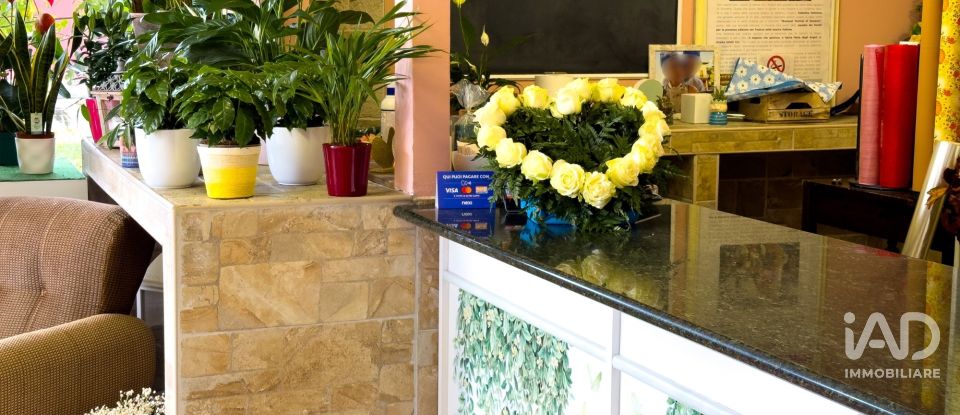 Attività locali di 92 m² in Assisi (06081)