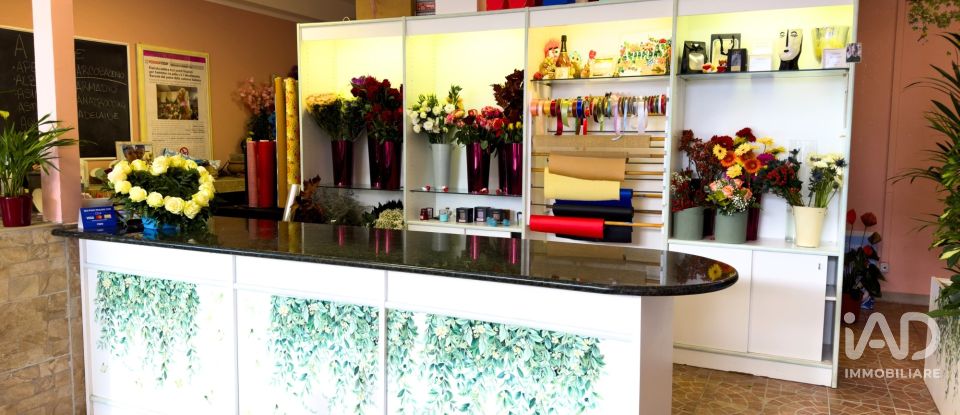 Attività locali di 92 m² in Assisi (06081)