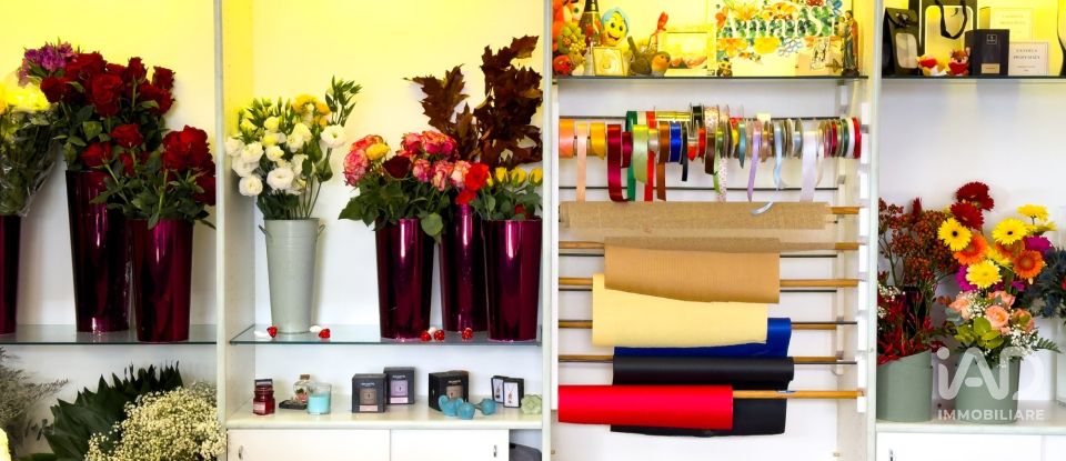 Attività locali di 92 m² in Assisi (06081)