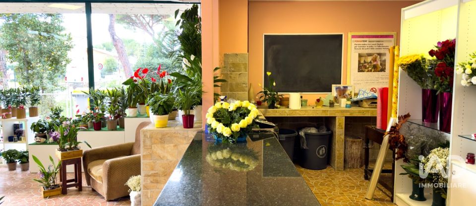 Attività locali di 92 m² in Assisi (06081)