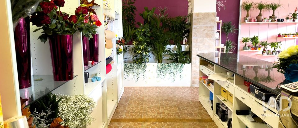 Attività locali di 92 m² in Assisi (06081)