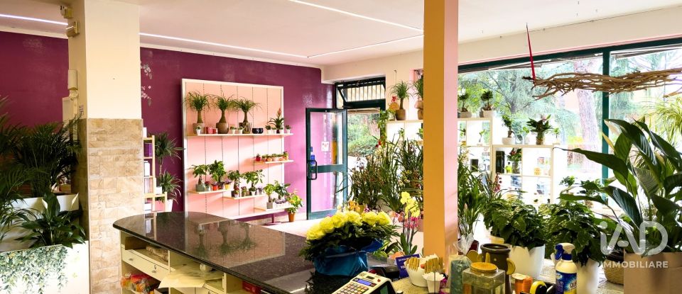 Attività locali di 92 m² in Assisi (06081)