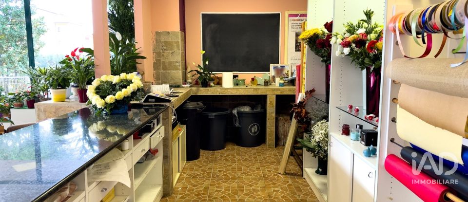 Attività locali di 92 m² in Assisi (06081)