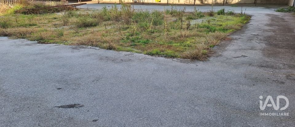 Land of 431 m² in Angri (84012)