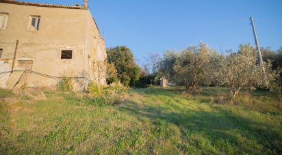 Casa indipendente / Villa 8 locali di 240 m² in Senigallia (60019)