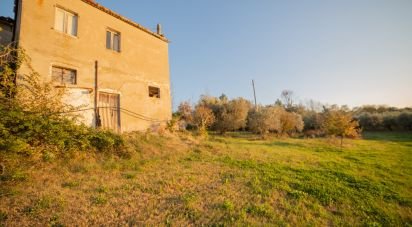 Casa indipendente / Villa 8 locali di 240 m² in Senigallia (60019)