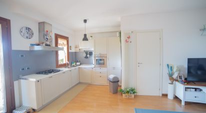 Appartamento 5 locali di 81 m² a Montemarciano (60018)