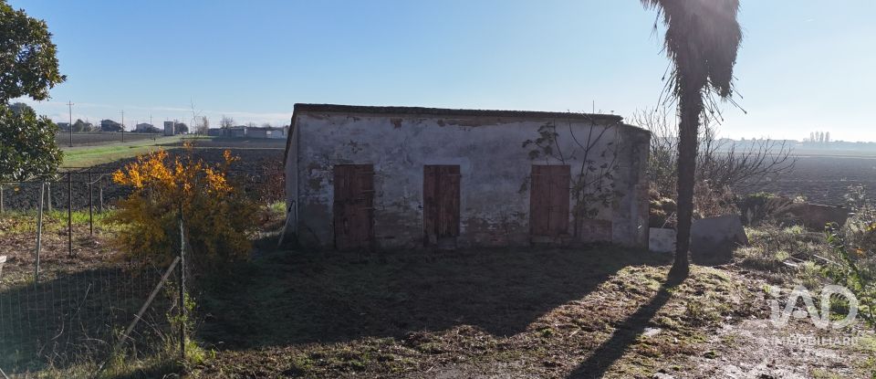 Casa indipendente / Villa 4 locali di 150 m² in Codigoro (44021)