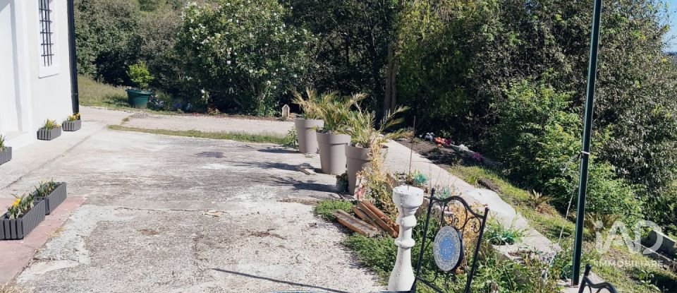 Abitazione 8 locali di 170 m² in Roncà (37030)