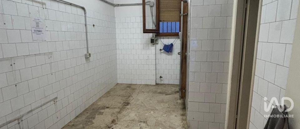 Shop / premises commercial of 39 m² in Firenze (50126)