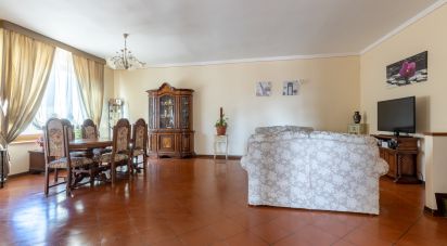 Casa indipendente / Villa 10 locali di 159 m² in Bientina (56031)
