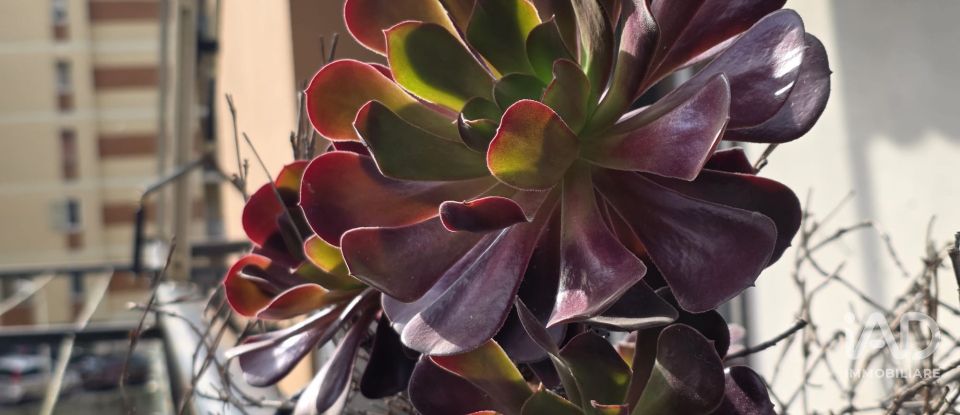 Three-room apartment of 78 m² in Genova (16139)