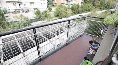 Appartamento 5 locali di 80 m² a Genova (16149)