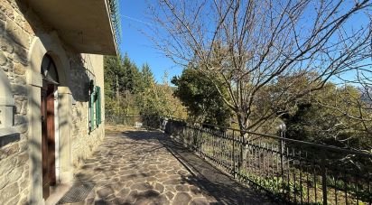 Casa indipendente 12 locali di 302 m² in Arezzo (52100)