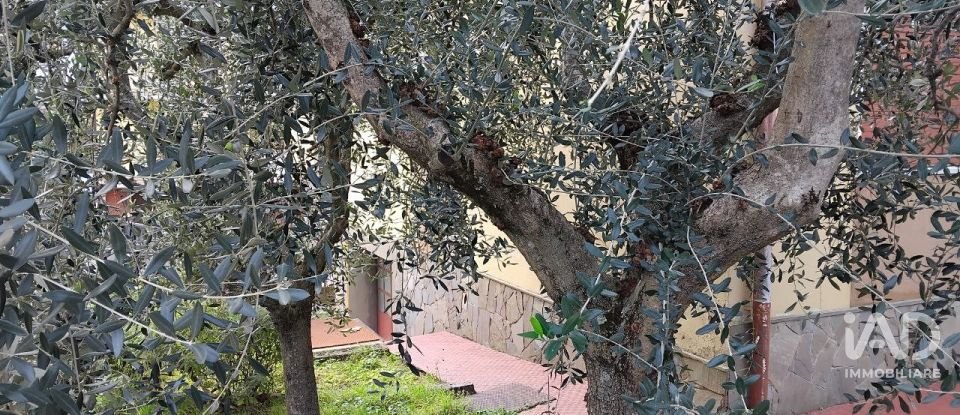 Apartment 5 rooms of 115 m² in Reggello (50060)