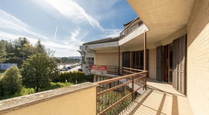 Appartamento 15 locali di 598 m² a Corridonia (62014)