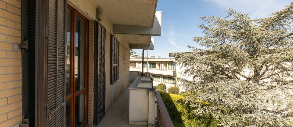 Appartamento 15 locali di 598 m² a Corridonia (62014)