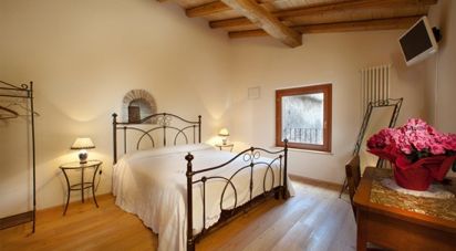 Attività locali di 460 m² in Ponti sul Mincio (46040)