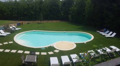 Attività locali di 460 m² in Ponti sul Mincio (46040)