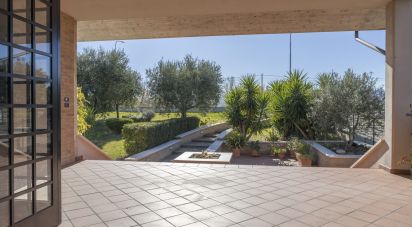 Villa Bifamiliare 13 locali di 300 m² in Cupramontana (60034)