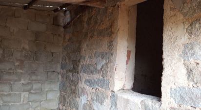 Land of 11,660 m² in Arzachena (07021)