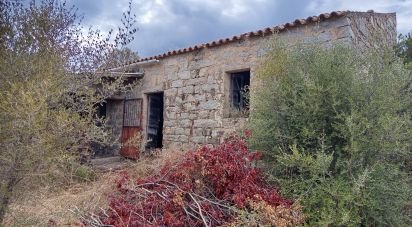 Terreno di 11.660 m² in Arzachena (07021)