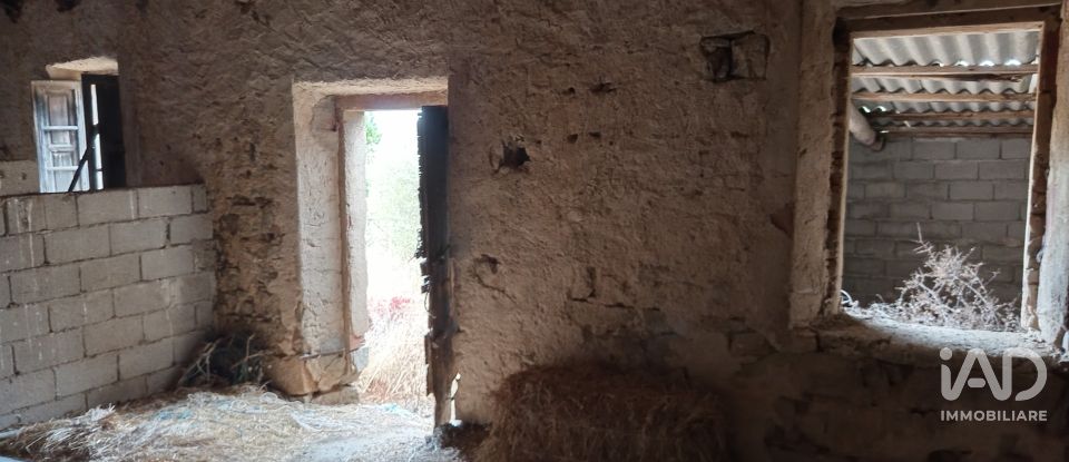 Terreno di 11.660 m² in Arzachena (07021)