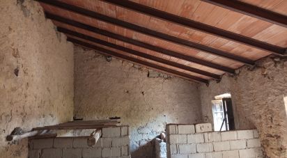 Land of 11,660 m² in Arzachena (07021)