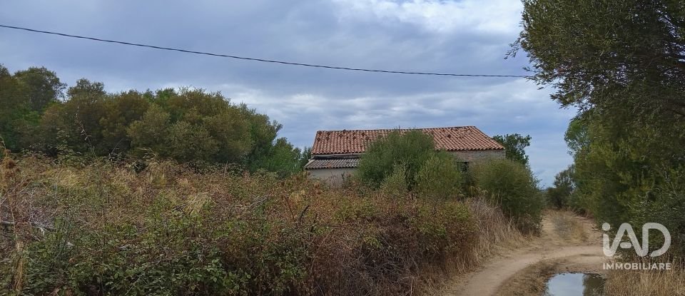 Terreno di 11.660 m² in Arzachena (07021)