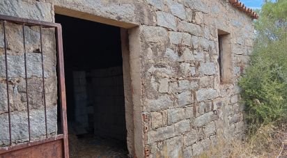 Land of 11,660 m² in Arzachena (07021)