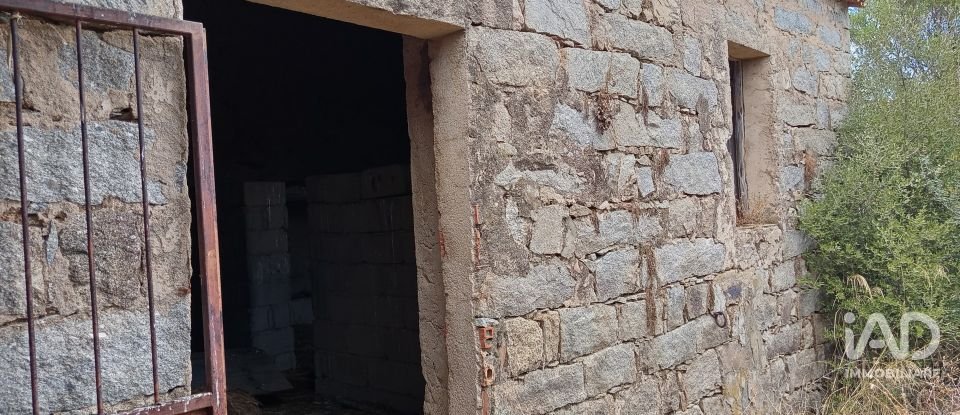 Terreno di 11.660 m² in Arzachena (07021)