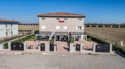 Villa a schiera 4 locali di 179 m² in Sala Bolognese (40010)