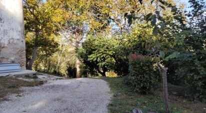 Rustico 0 locali di 350 m² in Mondavio (61040)