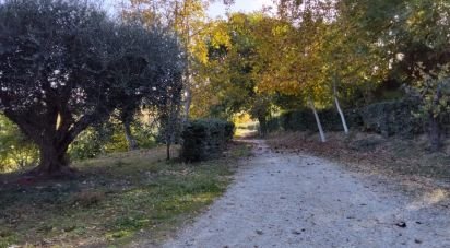 Rustico 0 locali di 350 m² in Mondavio (61040)
