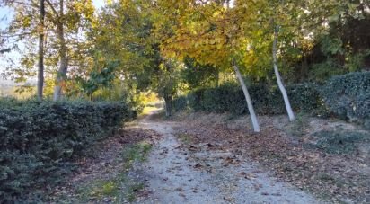 Rustico 0 locali di 350 m² in Mondavio (61040)