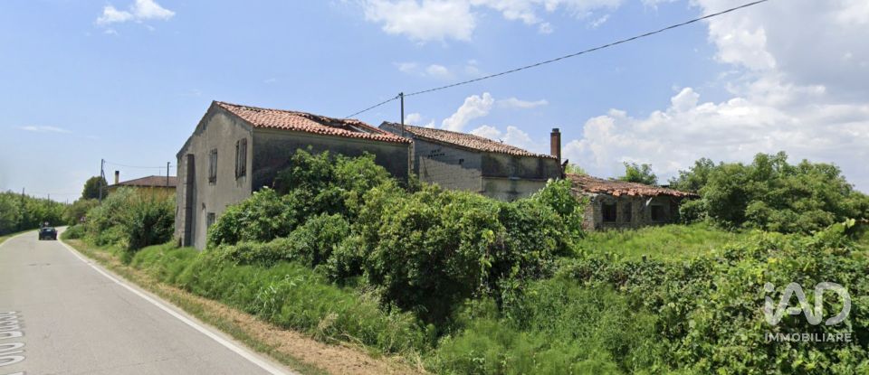 Terreno di 5.000 m² in Sant'Angelo di Piove di Sacco (35020)