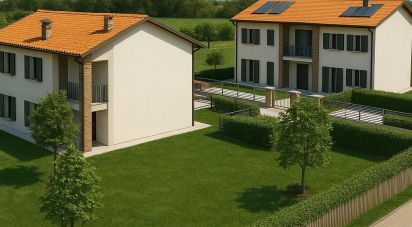 Terreno di 5.000 m² in Sant'Angelo di Piove di Sacco (35020)