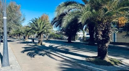 Bilocale di 62 m² a San Benedetto del Tronto (63074)