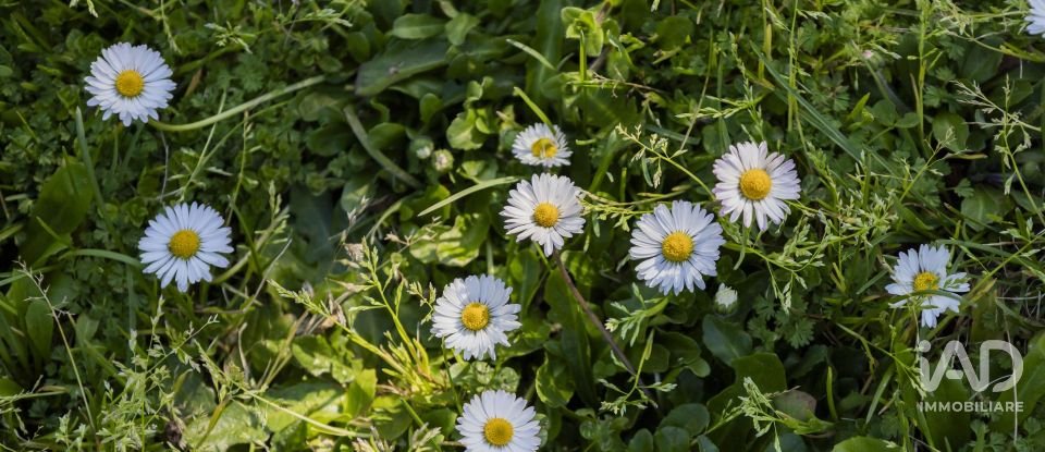 Farm 14 rooms of 454 m² in Reggello (50066)