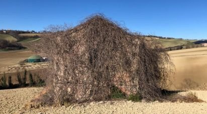 Rustico 5 locali di 90 m² in Osimo (60027)