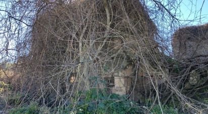 Rustico 5 locali di 90 m² in Osimo (60027)